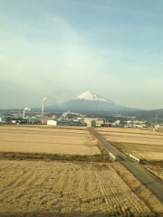 甲子園に行ってきた