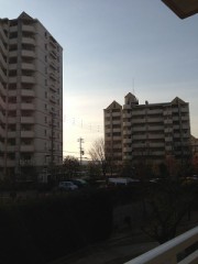 【お題日記】「本当の幸せ」ってなに？