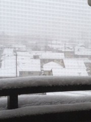 大雪警報ですね
