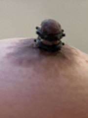 最近のお気に入り