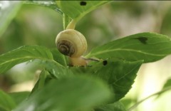 【お題日記】どぅしてもチェックしてしまうこと