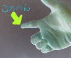 指/ころぶ/今日のログは良いニュースなんかひとつもな