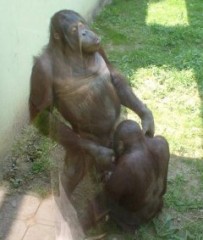 フェラチオ好き♪