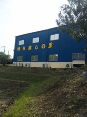 こないだの日曜日