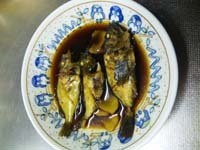 釣りに行きました