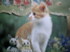 ビリヤード、人物紹介編　エフレン・レイズ