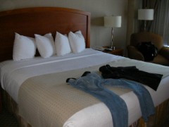 今日は、涼しい日でしたね。