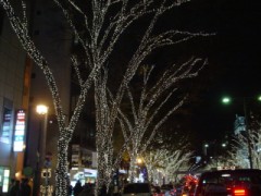 表参道のイルミネーション
