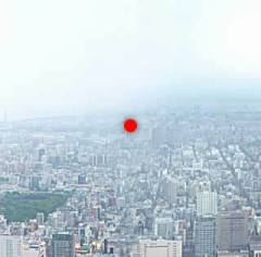 スカイツリー＼(^-^)／