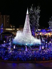 今日はとても寒いよ～(｡-_-｡)