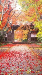 静寂な時間って大事だなぁ(^_^)