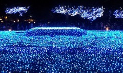 寒さで、動けないねぇ(*_*)