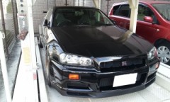 雪じゃなかった(^з^)-☆