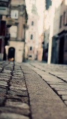 今週も、あと一日です(^｡^)