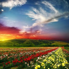 GWも近いですねぇ^ ^