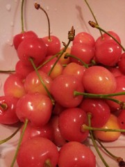 佐藤錦のサクランボp(^_^)q