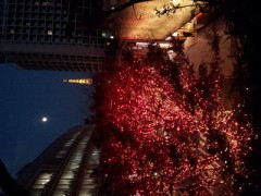 イルミネーション^ ^