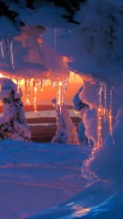 やっと、今週も、あと1日^_^