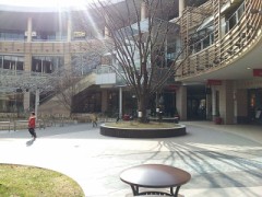 今日はお仕事^ ^