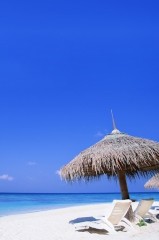 人を信用して裏切られたらどうする？