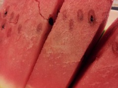 スイカ、食べました^o^