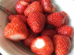 首が痛い(｡-_-｡)