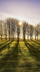 HUAWEI ASCEND P7(^O^)