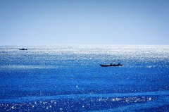 今日も、出張(ToT)