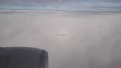 飛行機の影(@_@)