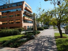 メンタルがダメだ(｡-_-｡)