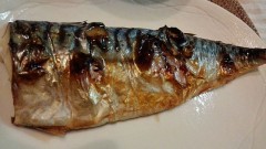 雪は降らなかった！