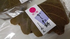 新年度という憂鬱な時期(°_°)