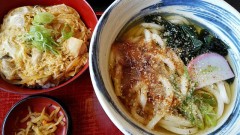 親子丼とうどんセット！