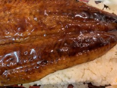 うなぎの蒲焼！