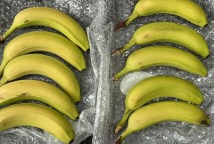有機バナナ