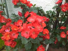 【お題日記】年の差なんて、気にします？