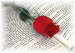 【お題日記】今日はサン・ジョルディの日。どんな日？