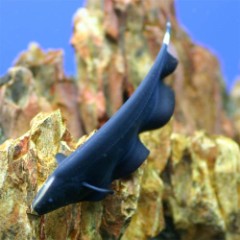 お魚は好きにゃ～♪。