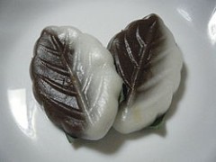 これにゃ～んだ？。