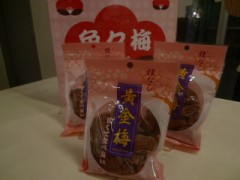 なつのたべものにゃん。