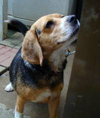 食い意地事件･・