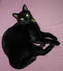 今日も寒い･･･