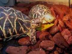 今度は雪！！Σ(・ω・ノ)ノ!ｗ