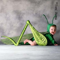 バッタの着ぐるみ。