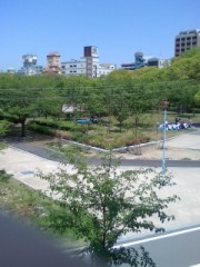 新緑の桜宮公園