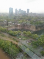 雨の大阪城公園