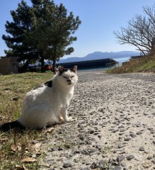 【お題日記】こんなエロい写真撮りました