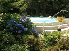 露天あじさい風呂