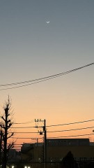 【お題日記】「運命の人」はいると思う？