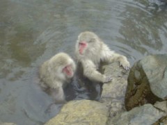 【お題日記】日帰り温泉